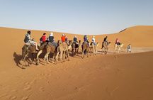 3-day 2-night Sahara Desert Adventure