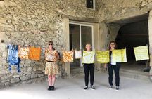 Private Introduction to plant color in Forcalquier in Provence