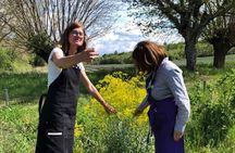 Private Introduction to plant color in Forcalquier in Provence