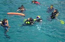 Private Tour to Dolphins house Sea hero of Egypt snorkeling 