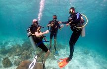 Dream to Dive full Course & private Dive Instructor PADI