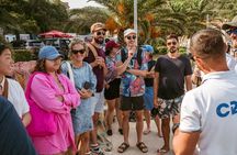 Coastal Vineyards: A Dream Wine Tour to Elaphiti Islands