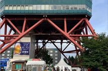 Hokkaido Day Tour from Sapporo: Asahiyama Zoo, Blue Pond Japan