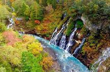 Hokkaido Day Tour from Sapporo: Asahiyama Zoo, Blue Pond Japan