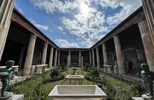 PompeiI Exclusive Tour with your Archaeologist in a Small Group 