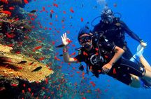 Dream to Dive full Course & private Dive Instructor PADI