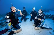 Dream to Dive full Course & private Dive Instructor PADI