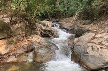 Tour 'Paso del Mango' chocolate & waterfalls