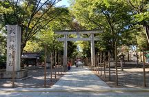 Walk Around Okunitama Shrine Private Tour in Tokyo