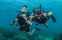 Try Scuba Diving Experience in Fujairah
