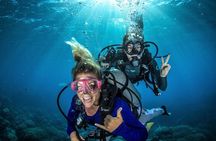 Try Scuba Diving Experience in Fujairah