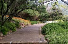 Cape Town: Kirstenbosch, Groot Constantia & Steenberg Wine Estate