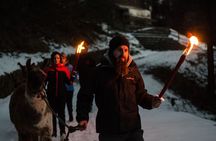 Llama hike with homemade, traditional cheese fondue