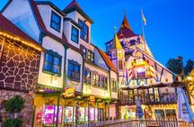 2 Hour Culture Tour in Helen