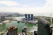 Singapore's Historic Chinatown Walking Tour with Lunch