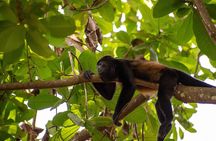 2 Hour ATV Private Tour in Costa Rica