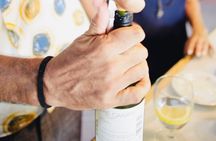 Wine Tasting in Barcelona (Catalan Varieties) Small Groups