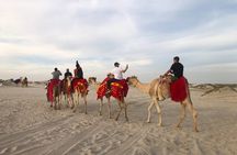 Doha, Qatar: Doha Desert Safari & City - Full Day Private Tour.