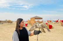 Doha, Qatar: Doha Desert Safari & City - Full Day Private Tour.