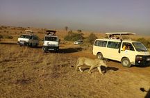 Half Day Guided Tour in Nairobi National Park With 4*4 Vehicle