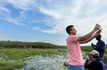 1/2 Mabamba Swamp Shoebill Tour 