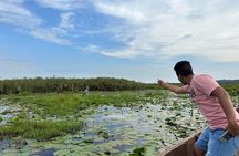 1/2 Mabamba Swamp Shoebill Tour 
