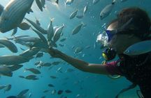 8-Hour Scuba Diving Experience in Side with Lunch