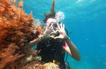 8-Hour Scuba Diving Experience in Side with Lunch
