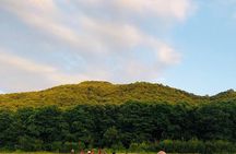 Trekking Rome and Roman Castles: Private Guided Excursions