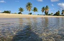 Vieques Bio Bay Tour and Beach Day Trip from San Juan by Ferry