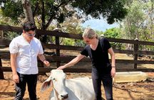 Eco Agro Adventure with Horseback Riding in a Private Ranch