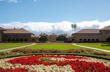 Silicon Valley Private Tour 