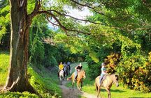 2h 1/2 HORSEBACK RIDING TOUR