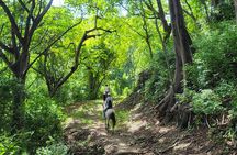 Jungle and Beach Horseback Riding Tour - 2H 1/2