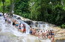 Private Dunn's River Falls from Montego Bay
