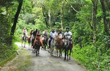 Active Volcano Tour in Costa Rica