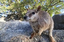 Full-day Tour at the Atherton Tablelands with Food Tasting 