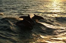 Moorea Sunset Boat Trip
