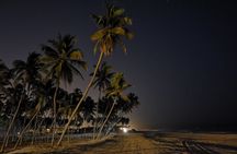 Salalah by Night Tour - Charming Evening in the Garden City 