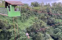 Giant Canyon Swing in Vanuatu