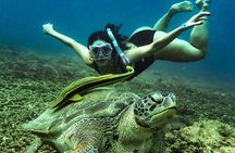 Pulau Redang Snorkeling and Island Hopping Full Day Tour