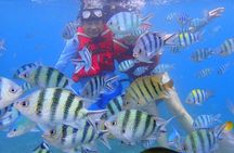 Pulau Redang Snorkeling and Island Hopping Full Day Tour