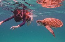 Pulau Redang Snorkeling and Island Hopping Full Day Tour