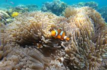 Pulau Redang Snorkeling and Island Hopping Full Day Tour
