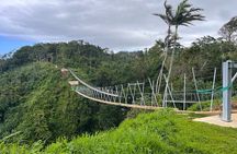 Giant Canyon Swing in Vanuatu