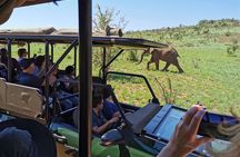 Pilanesberg National Park Safari from Johannesburg