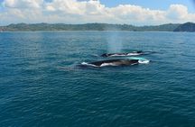 Catamaran Adventure From Manuel Antonio