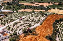 Afternoon Tour to Agios Neophytos Monastery with Wine Tasting