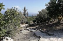 Baths of Aphrodite, Latchi and Blue Lagoon Cruise Tour