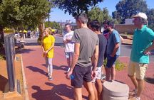 Soweto walking tour with a taxi ride